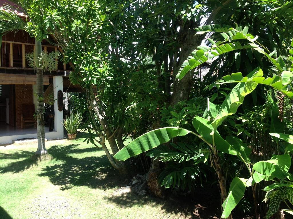 Alumbung Cottages Panglao Esterno foto